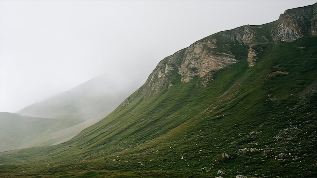 动听的音乐美文,音乐美文推荐