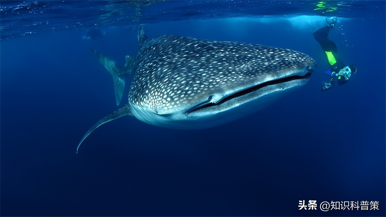 大自然的力量真大,大自然的力量有多大