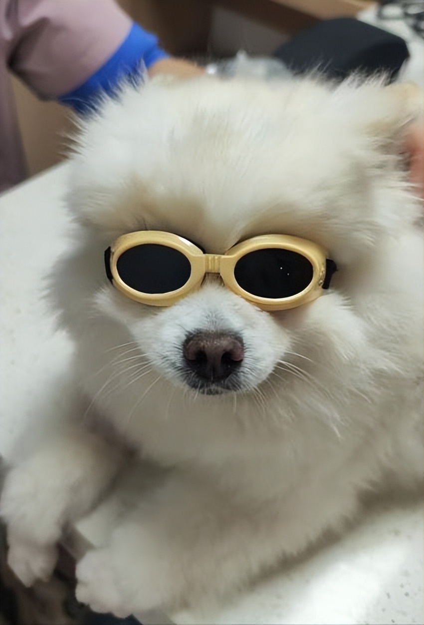 射频理疗治疗椎间盘突出,激光治疗腰椎间盘突出的图片