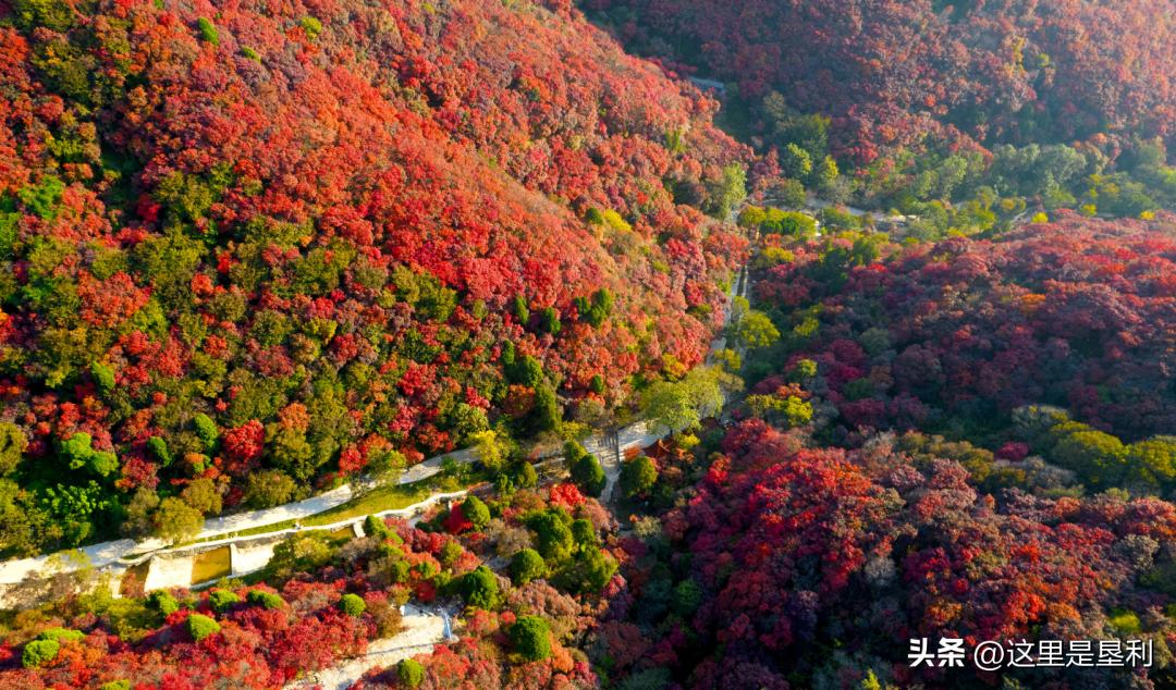 山东9个5a免费景区名单2020,山东免费4a景点排名一览表