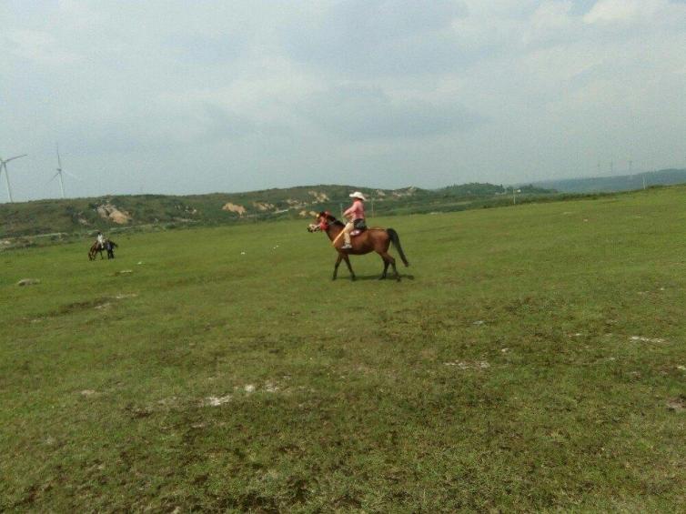 贵阳出发自驾游3-5天短途旅游推荐,国庆自驾游路线推荐贵阳出发