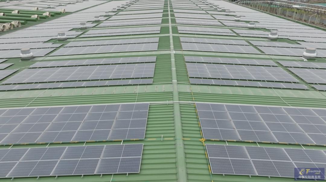 引领高质量可持续发展，正新集团在全球启动ESG项目