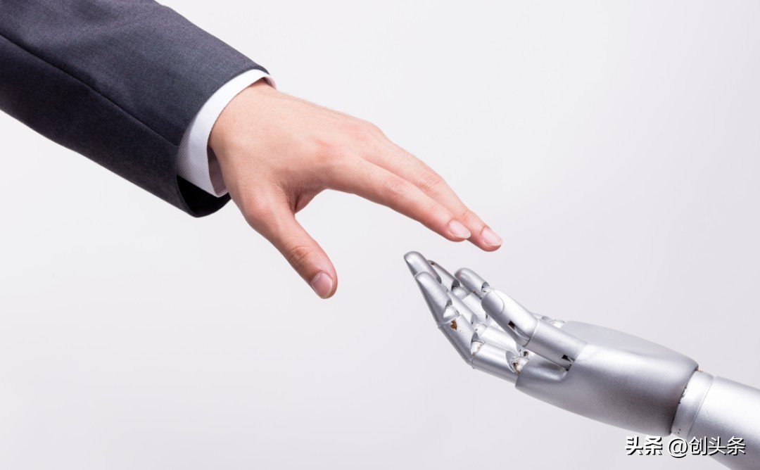 猫有猫路鼠有鼠道是什么意思,猫有猫道鼠有鼠道图片