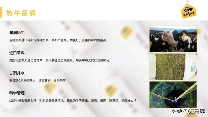 认养一头牛品牌策划方案,认养一头牛品牌推广的方式