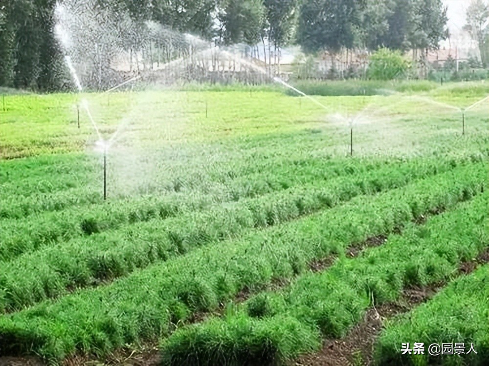 标杆房企园林景观工序,最新热销地产项目景观设计全解密