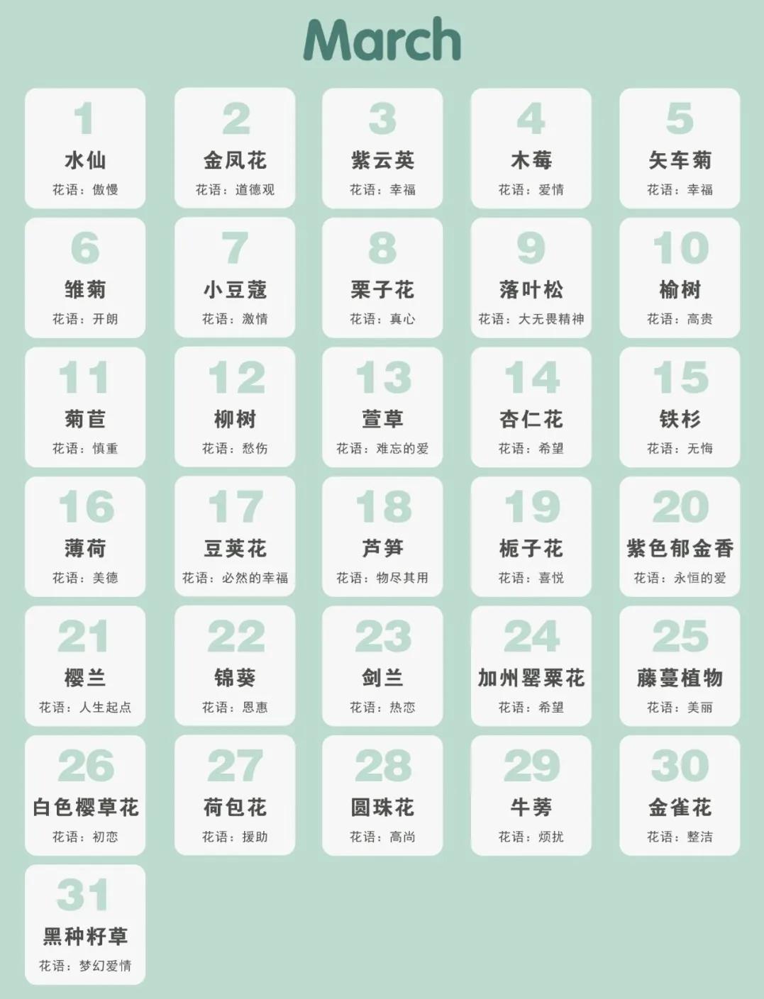365生日花语大全,关于生日的花的花语