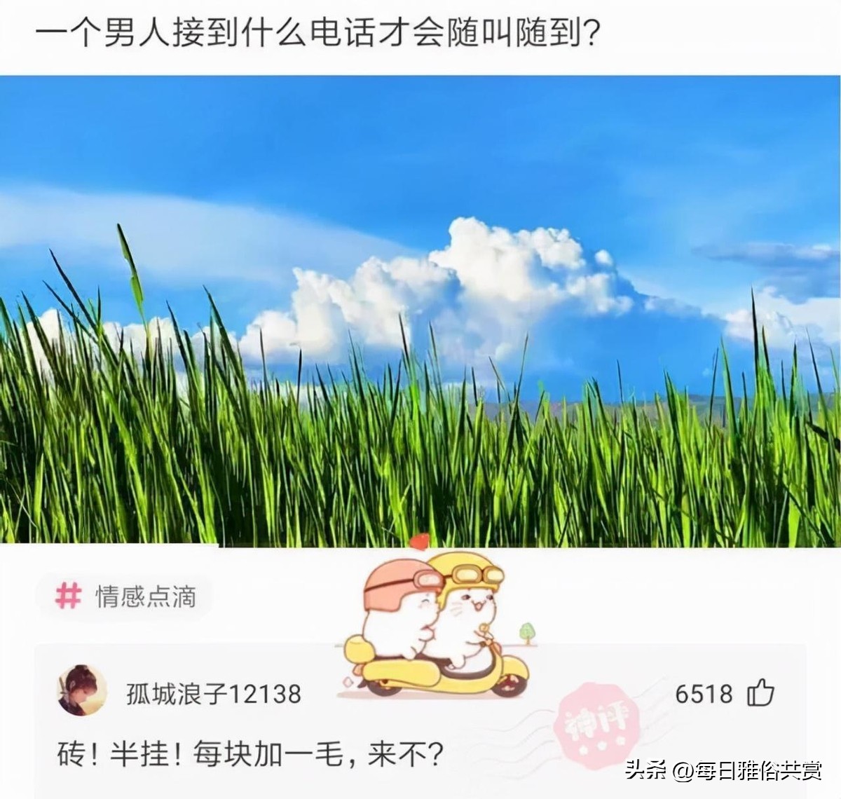 【盐选神回复】那么问题来了，一共有多少条腿呢？