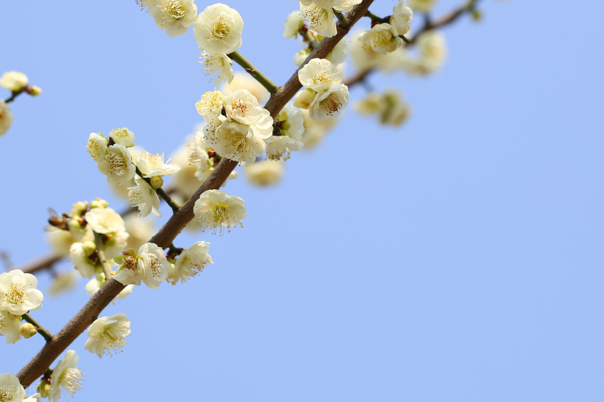 男人对女人有真爱有哪些表现,男人对女人的真爱表现在哪里