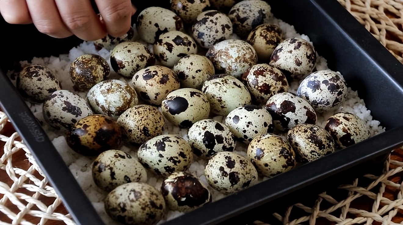 长斑的适合吃鹌鹑蛋吗,鹌鹑蛋和什么吃易长斑