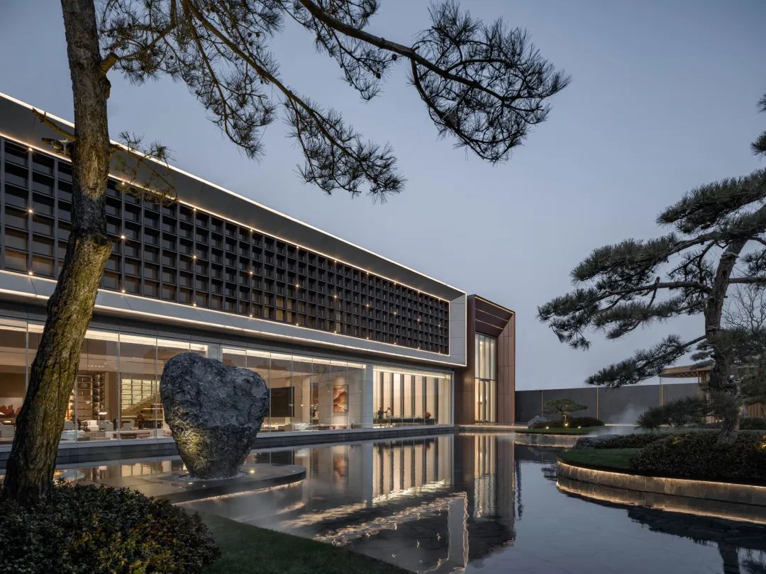 松树的文化内涵和精神品质,松树给人什么样的美感