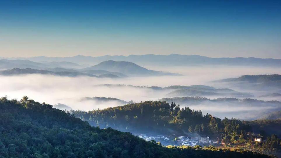 高山云雾出好茶云南,云南茶区哪种茶最好