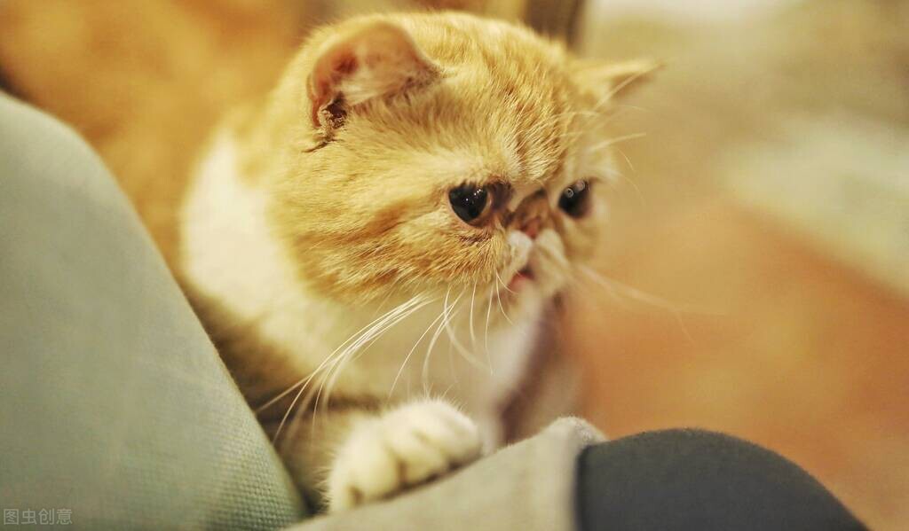 我拿命生下女儿,婆婆却把姑姐的孩子过继给我们,让人心寒