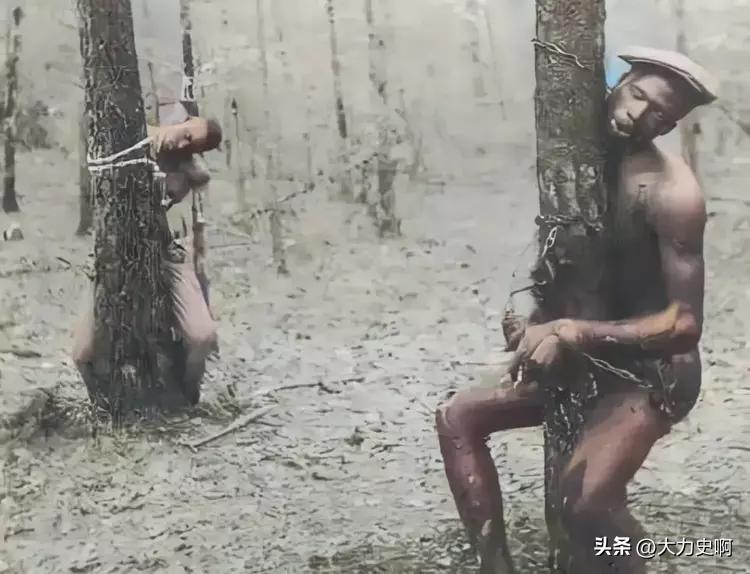 古代刑罚蚊刑,古代的蚊刑有多严重