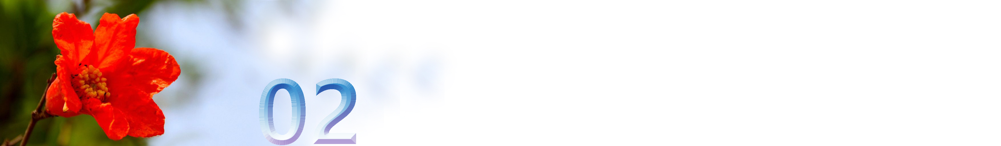 五月石榴花开的唯美诗句,关于石榴花的美文和诗句