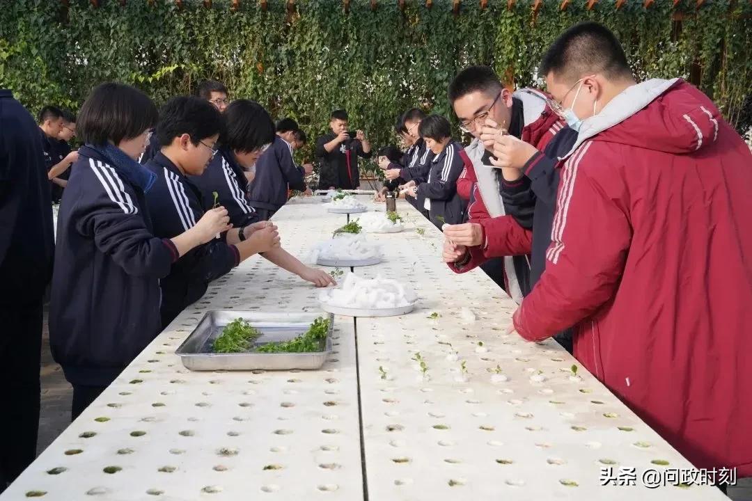 创建文明城市打造文明校园,创建文明校园展现青春风采