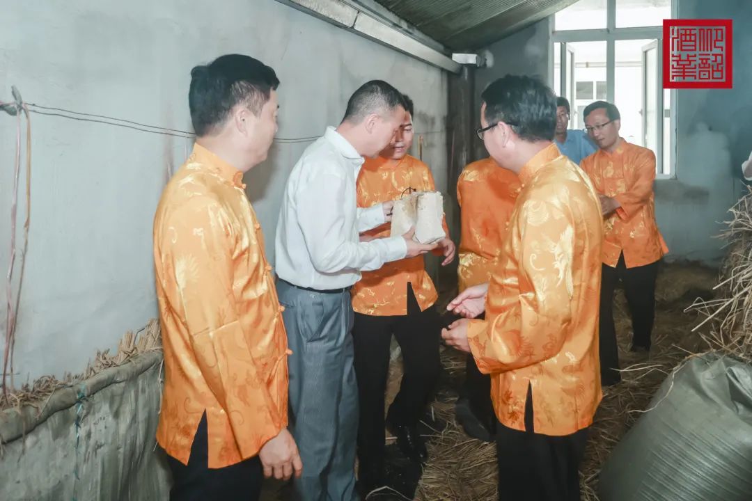 从出圈的仰韶“端午制曲”，看懂一个品牌背后的“匠心”