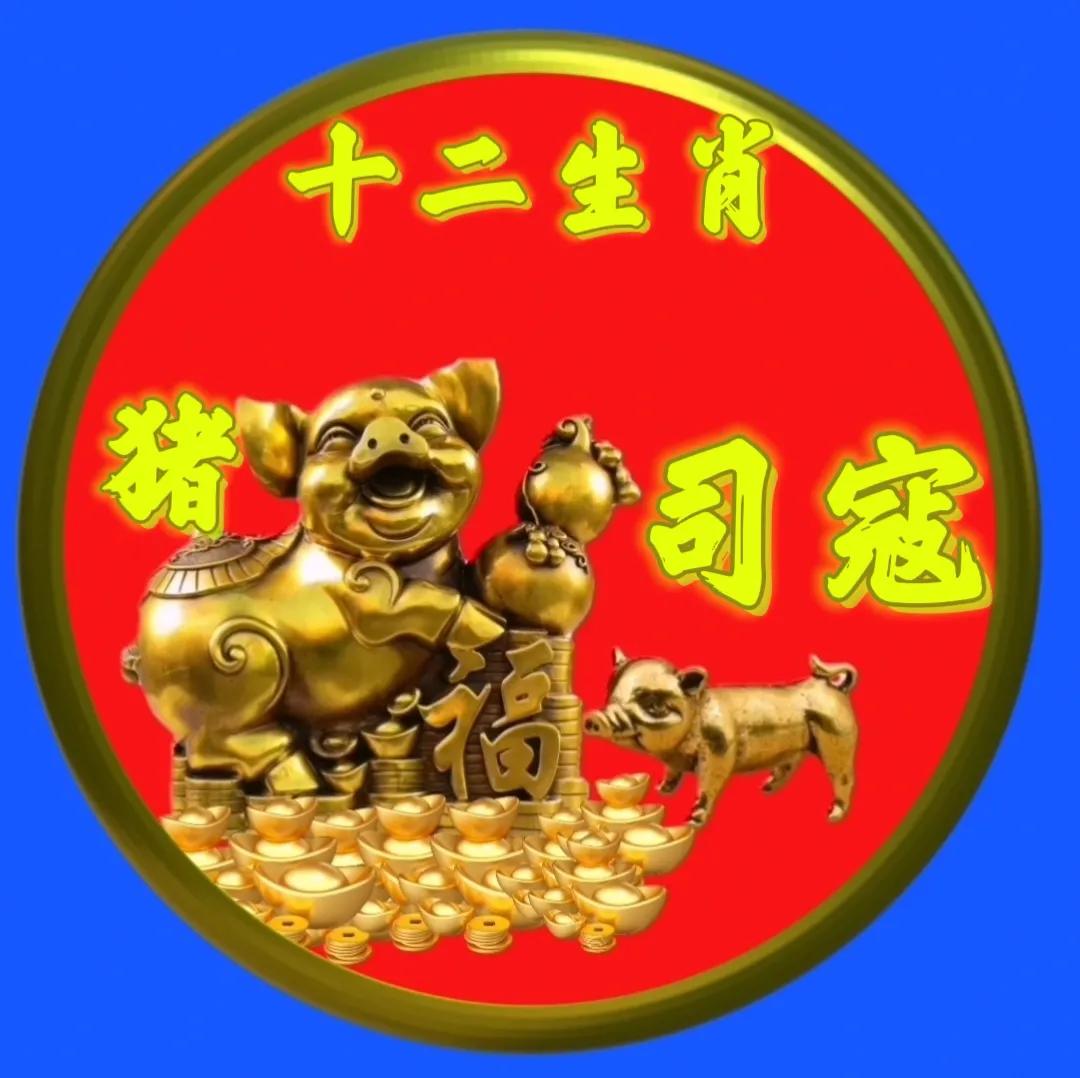12生肖猪的姓氏头像,十二生肖猪姓氏头像壁纸