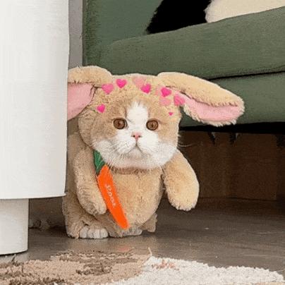 展商推荐|千里西行,一“展”封神,玉环友利抢先加入西部橡塑展