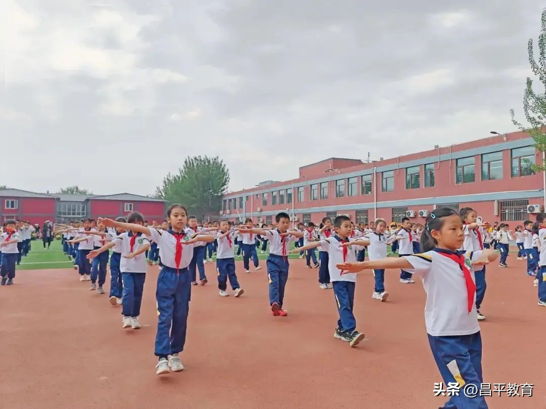 校园竞技,校园赛场青春激扬活力四射