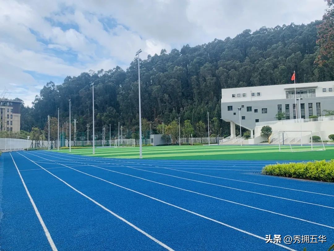 把春天装进校园里作文,把春天装进眼里