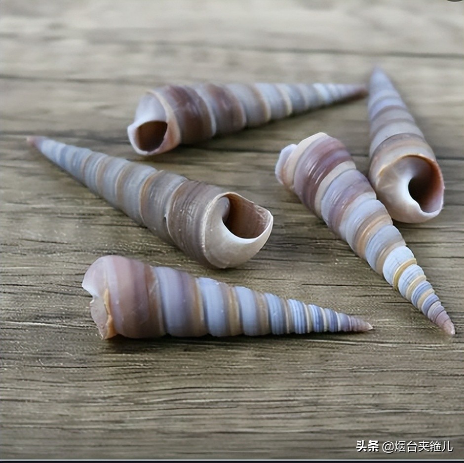 烟台地摊小吃视频,烟台夜市小吃推荐排行榜前十名