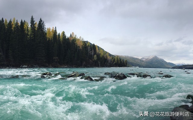 中国杨梅之乡浙江丈亭,中国杨梅之乡三洲