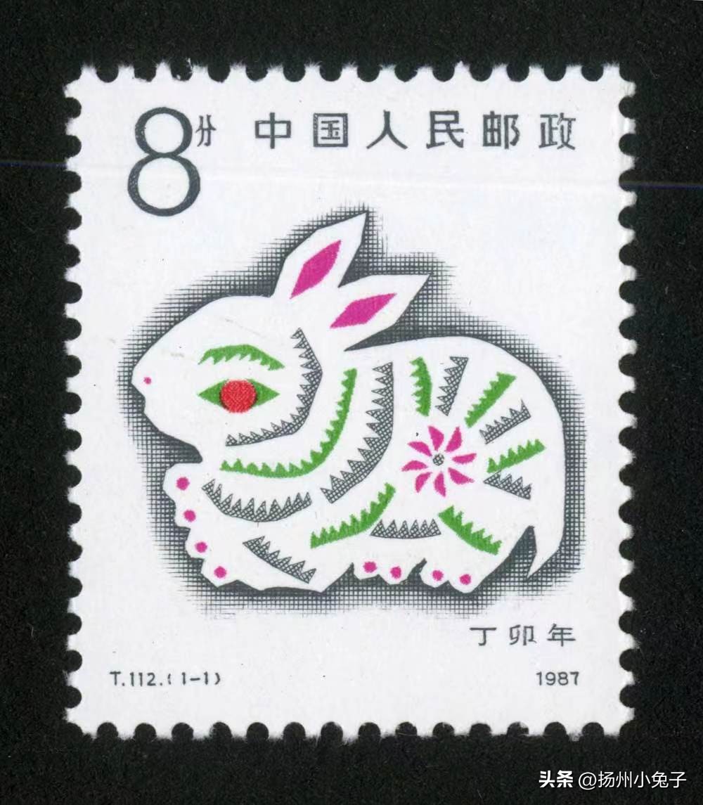 兔年相关的兔子,兔年的兔子