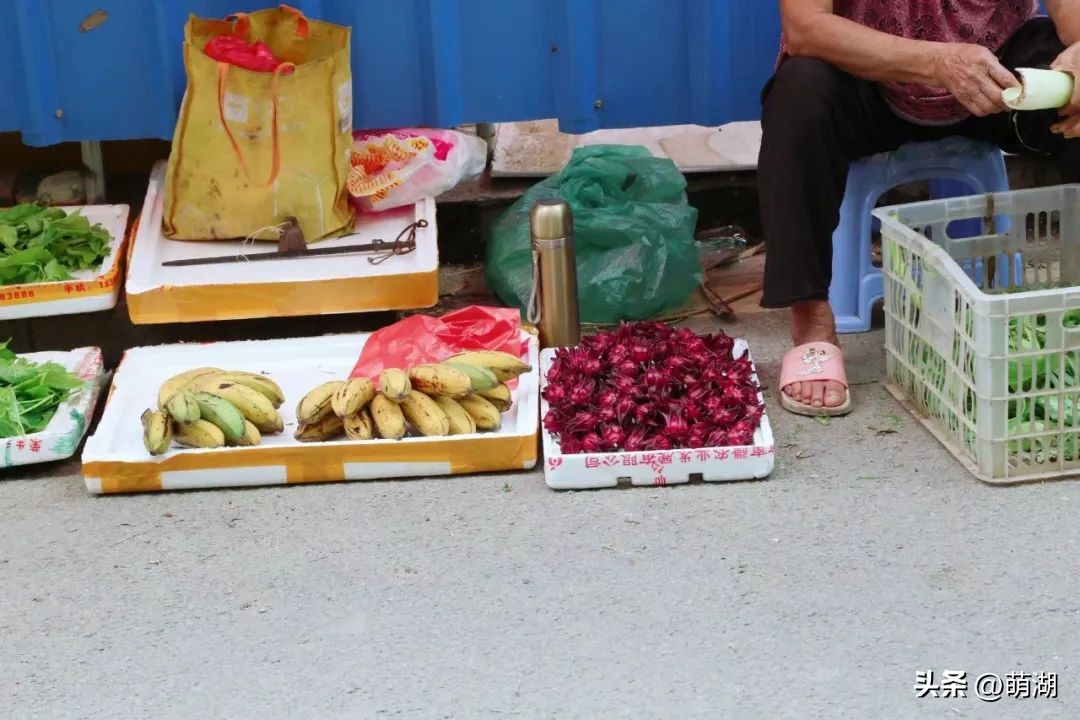 五一广州旅游攻略推荐,五一广州游玩攻略一览表