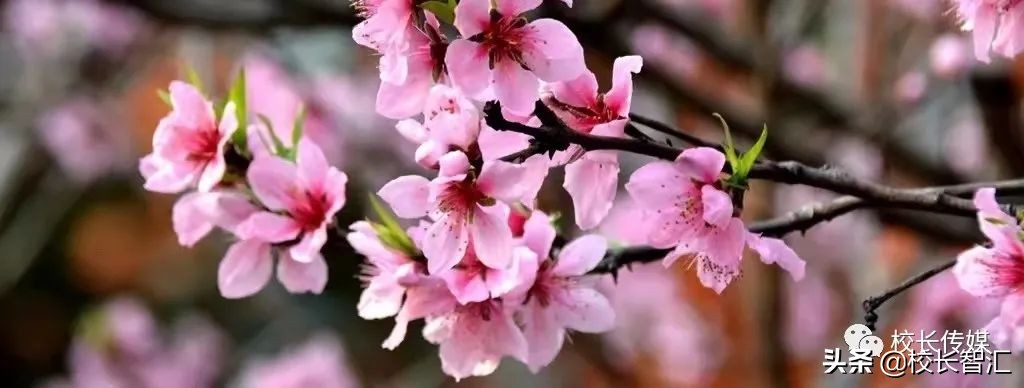 聚焦双减提质增效,双减形势下减负提质增效