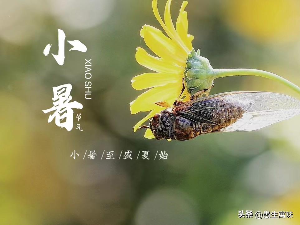 高考是什么时候出成绩,高考是什么感觉