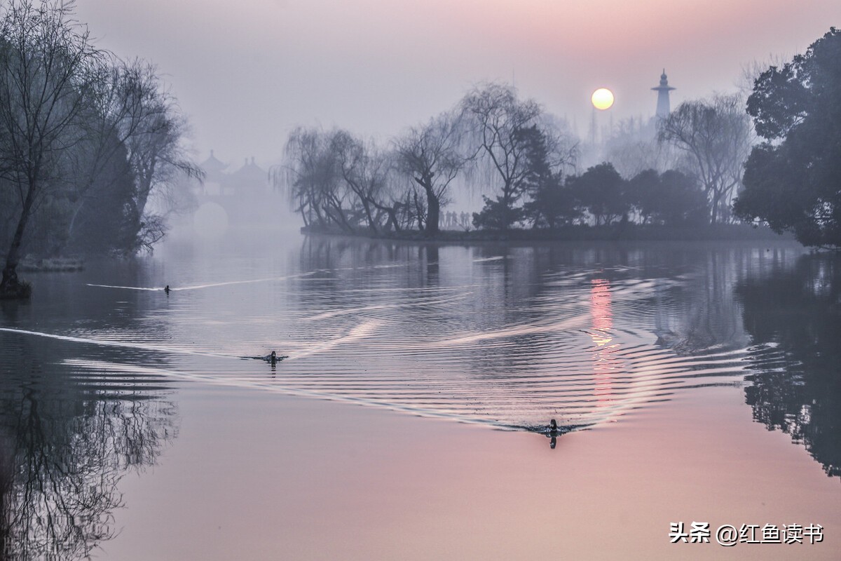 有效打造你的个人品牌,如何打造自我个人品牌