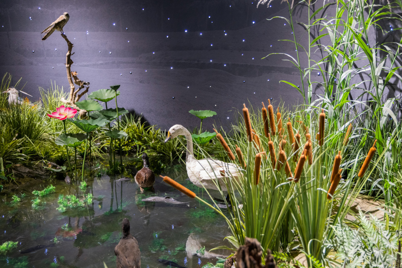 春日下江南杭州,春日下江南古镇