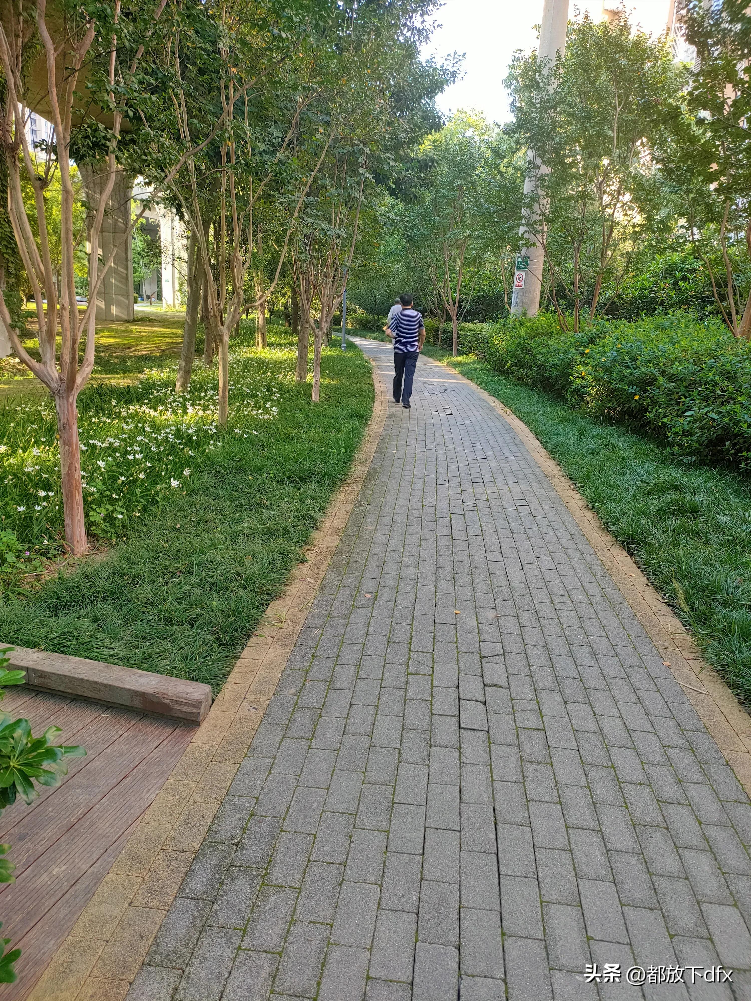 分道扬镳,各走各的路,也挺好的