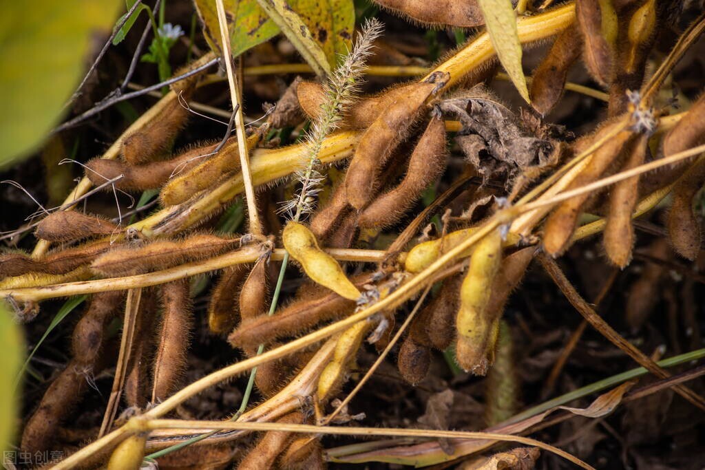 布局20年,中国布局20年