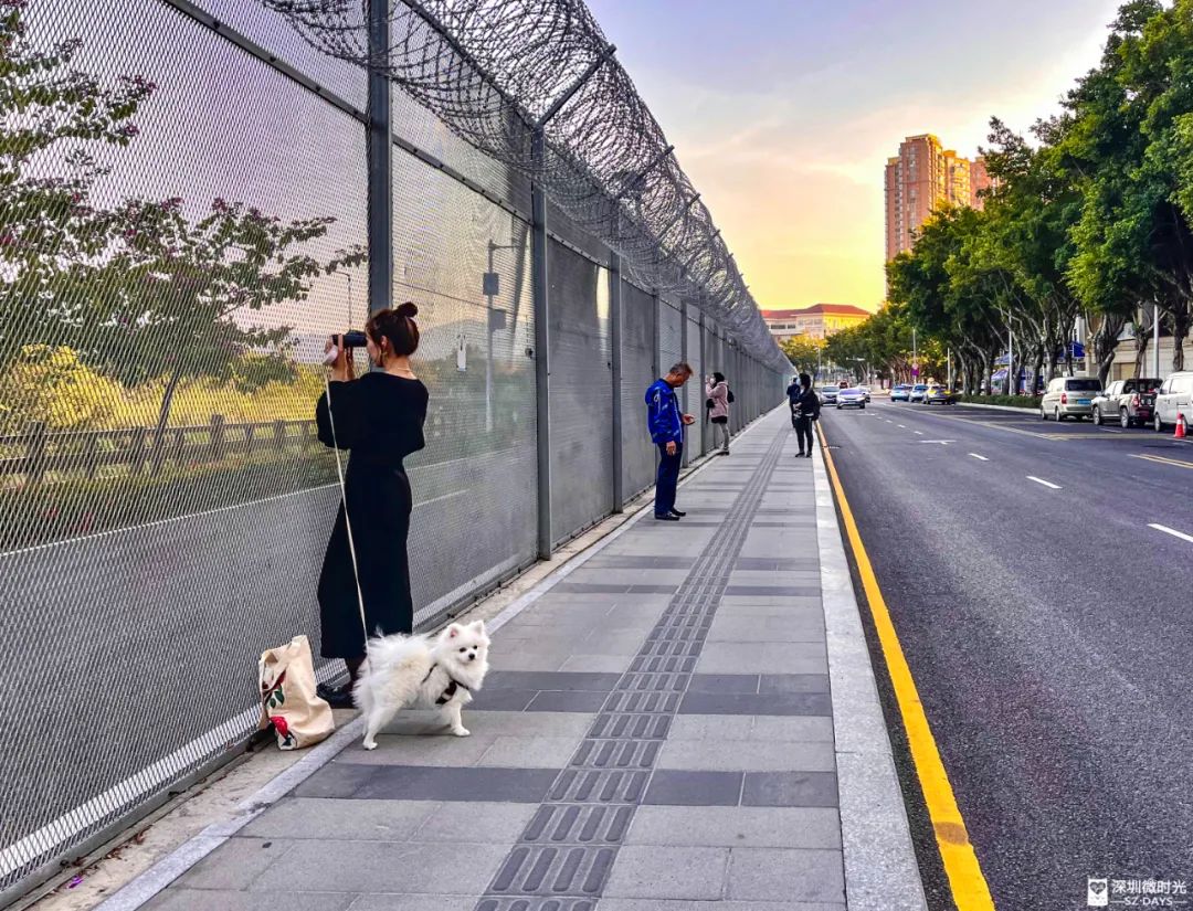 深圳凌晨还有这么多人排队,深圳办理香港签证要预约吗