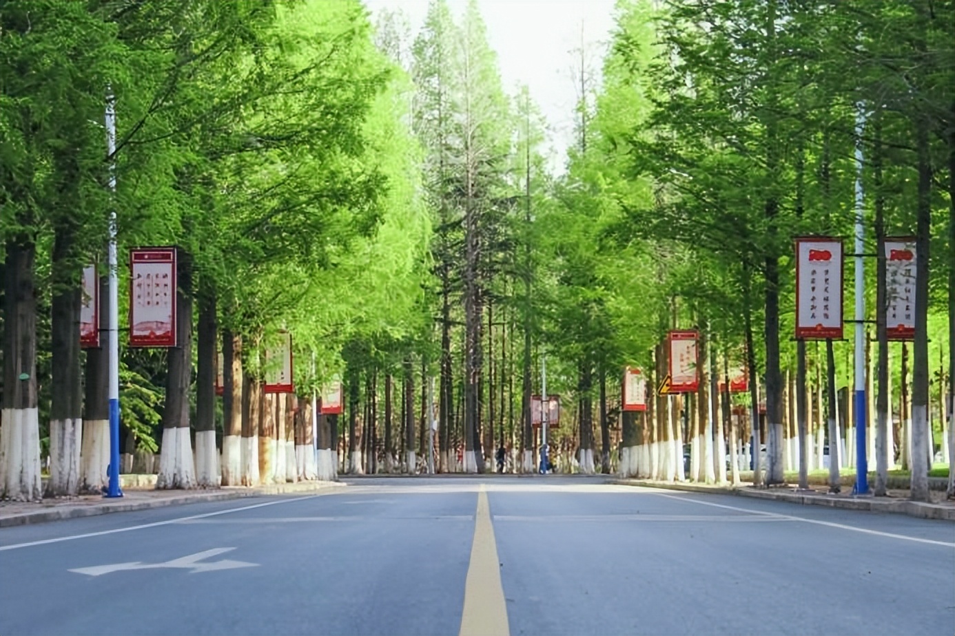 高考倒计时19天你准备好了吗,高考倒计时一百天锦囊