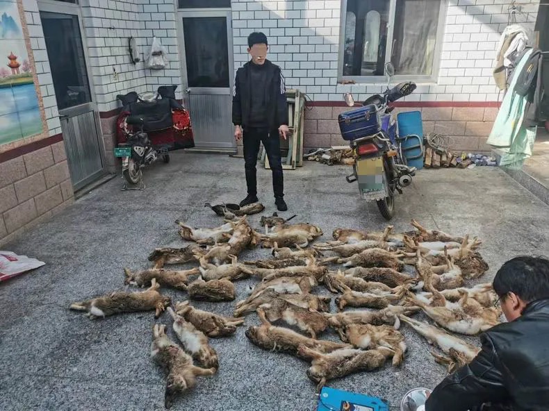 抓野兔被抓怎么处罚,男子抓野猪被民警抓