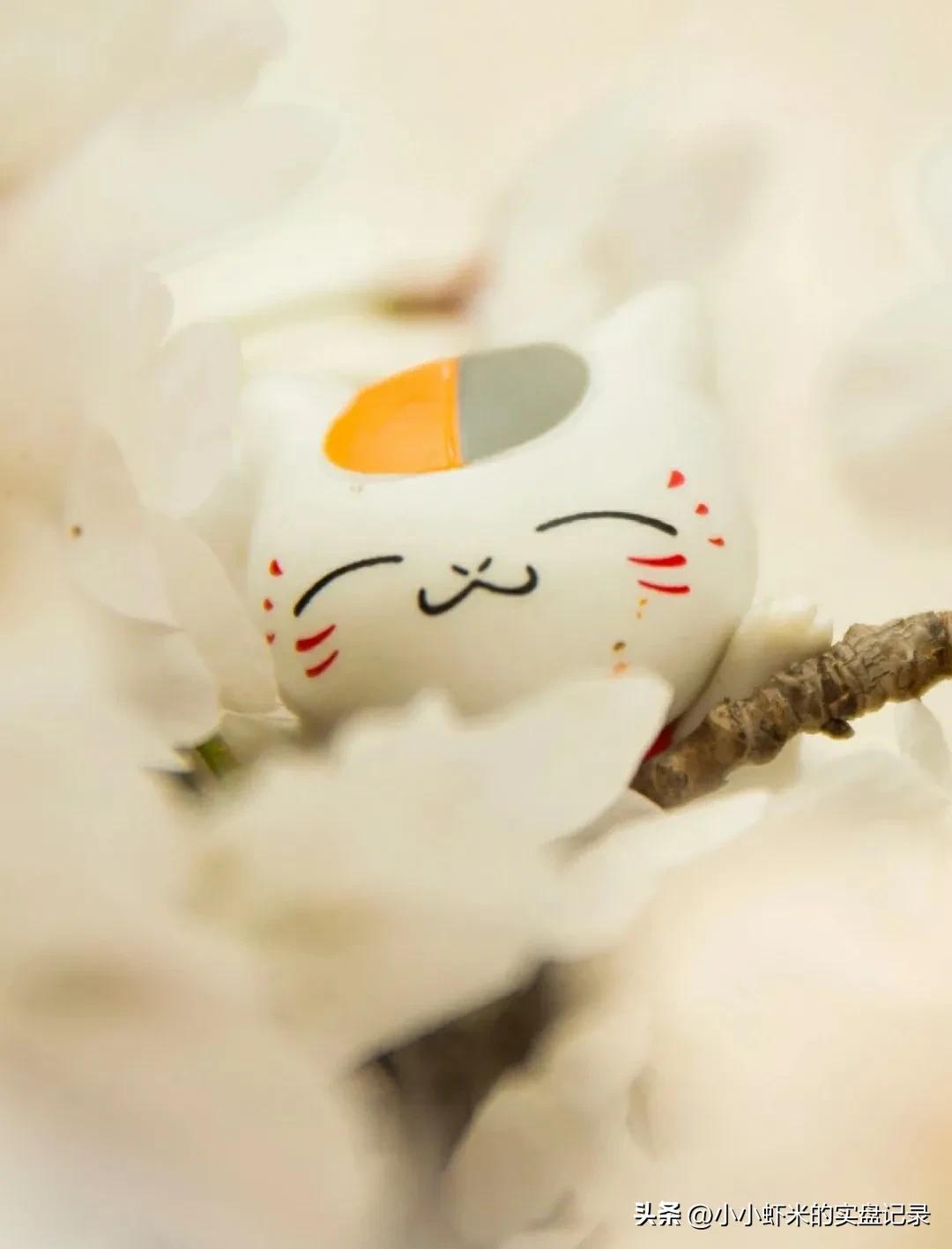 6月6日新股申购指南查询,6月13日新股申购分析建议