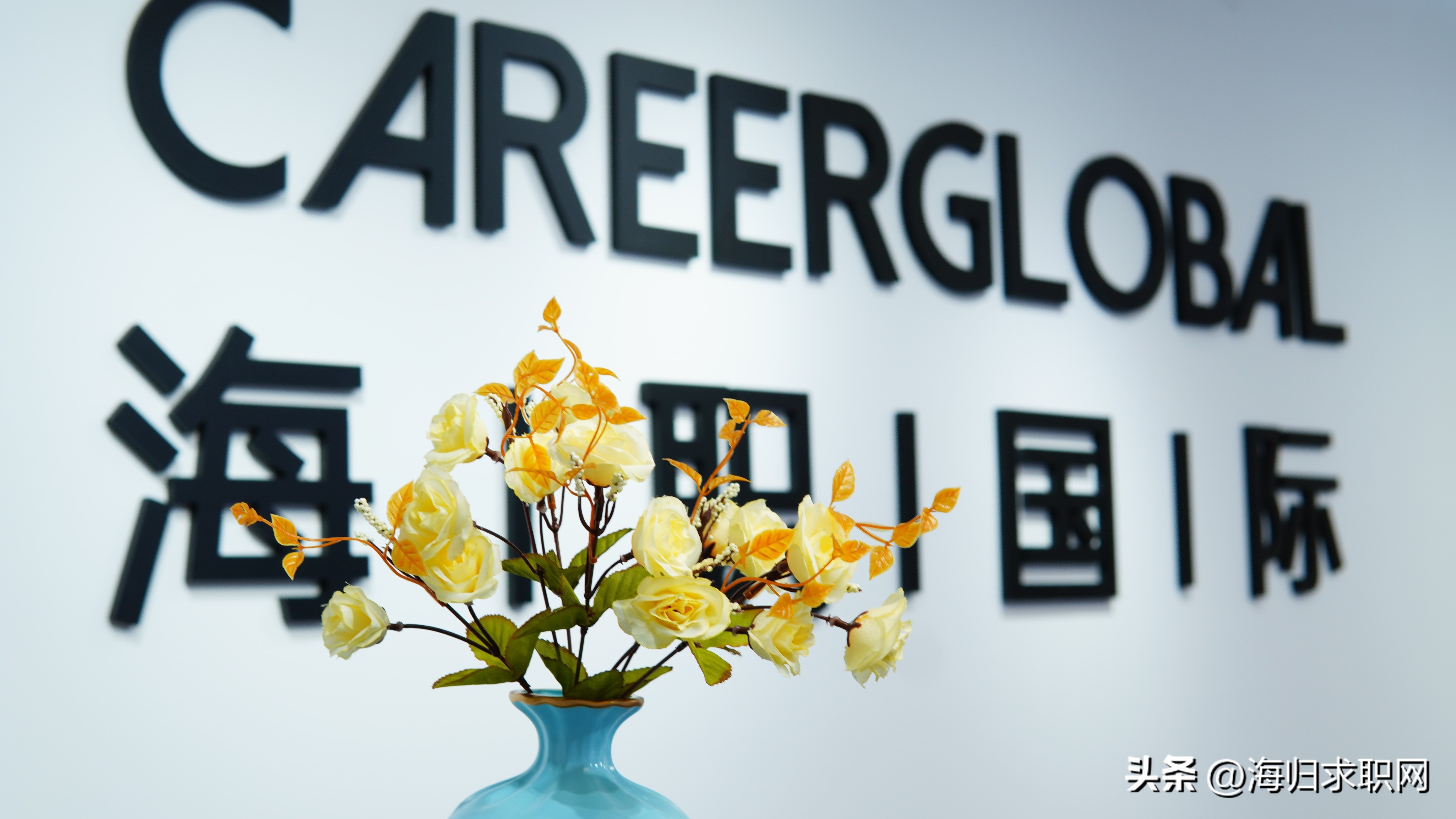 海归就业招聘官网,海归招聘平台有哪些岗位