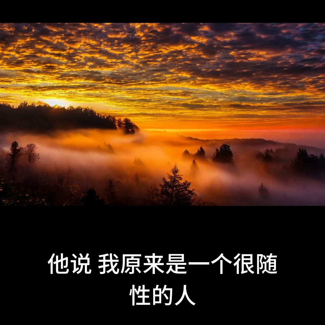 自己的职业规划和个人成长,大专的个人成长和职业规划500字