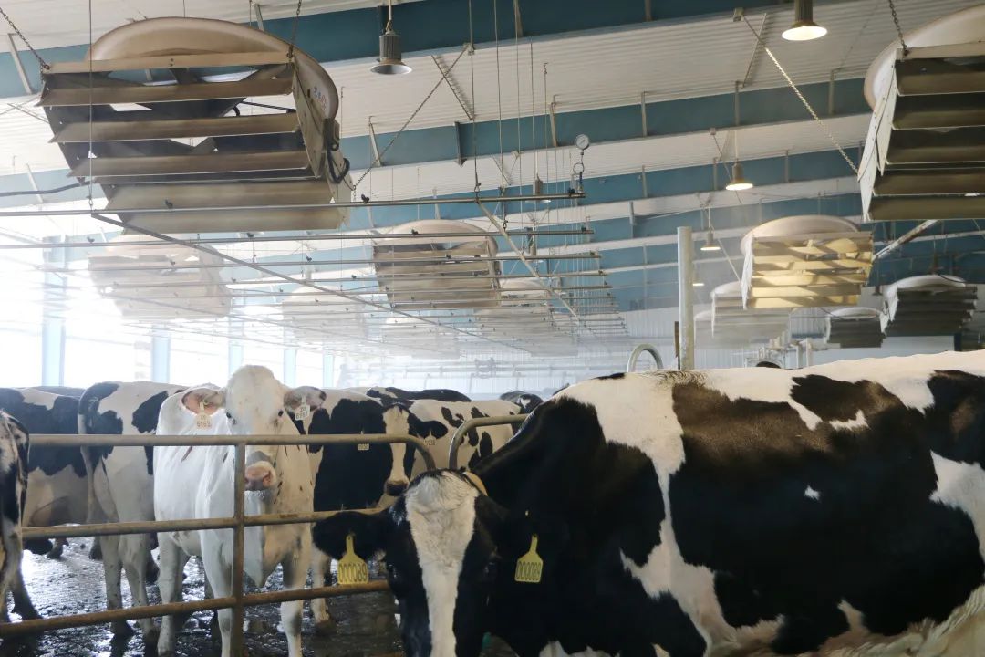 君乐宝威县乐源君享,君乐宝农场纪录片