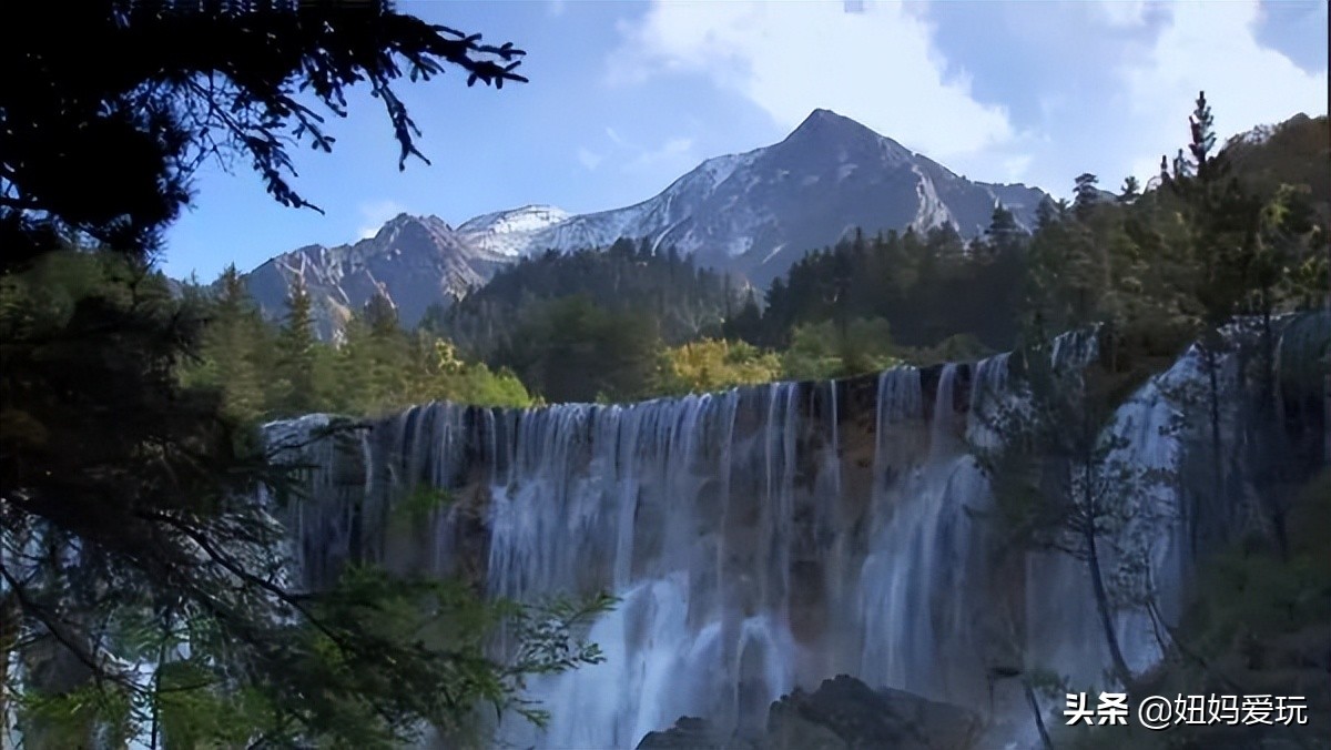 带你真切看人间的宝藏纪录片top10,十一长假适合带孩子看的纪录片