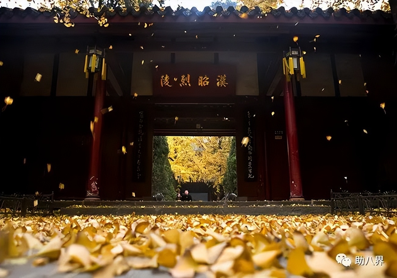 成都拍照打卡景点有哪些,成都必打卡的十大景点排名