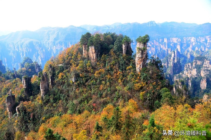 盘点中国拥有的14项世界自然遗产，是否有你的家乡