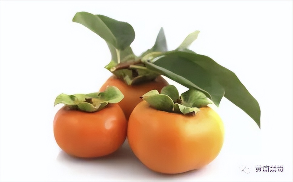 健康小贴士食品安全知识,健康小贴士食物