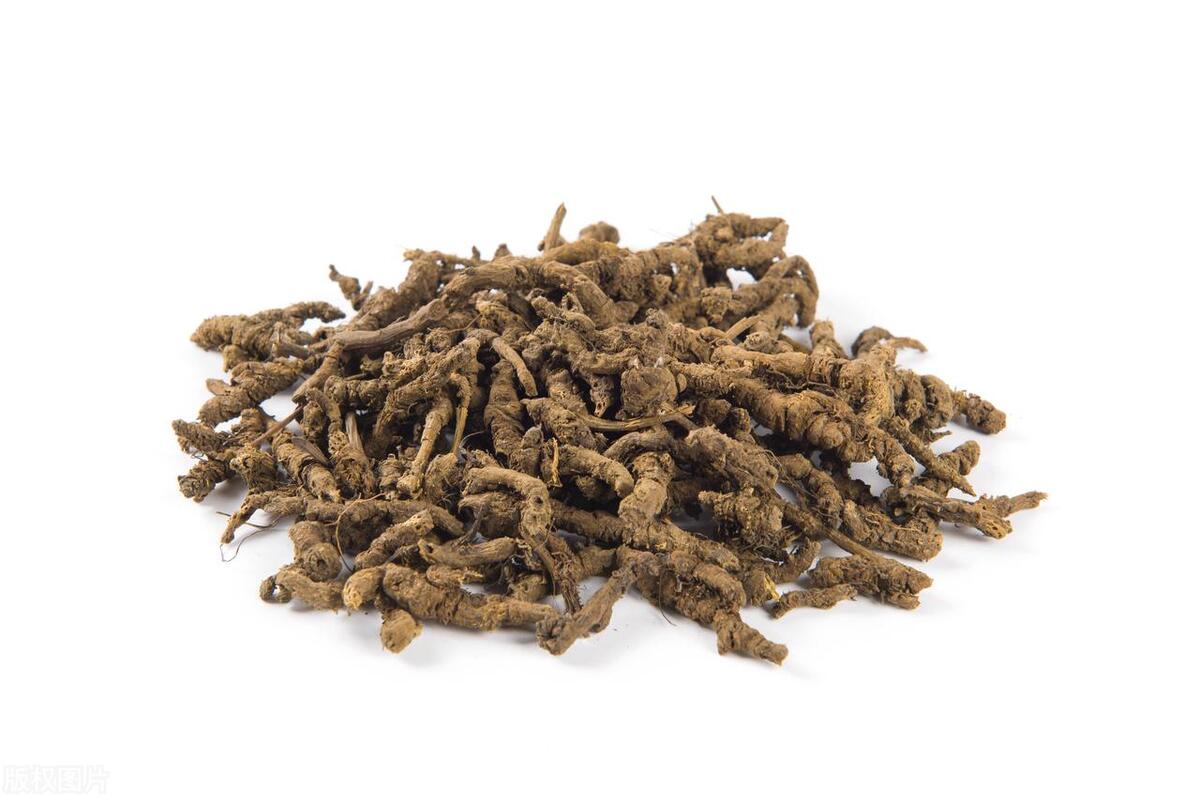 黄连清热,黄连清热燥湿是什么意思