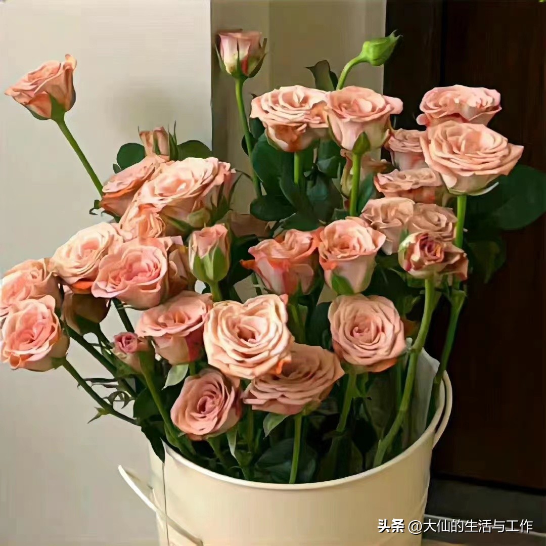 慢中求快的意思,慢而有为才是生活的正确方法