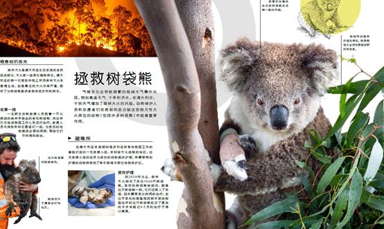 dk动物园全套,dk揭秘动物王国的奥秘