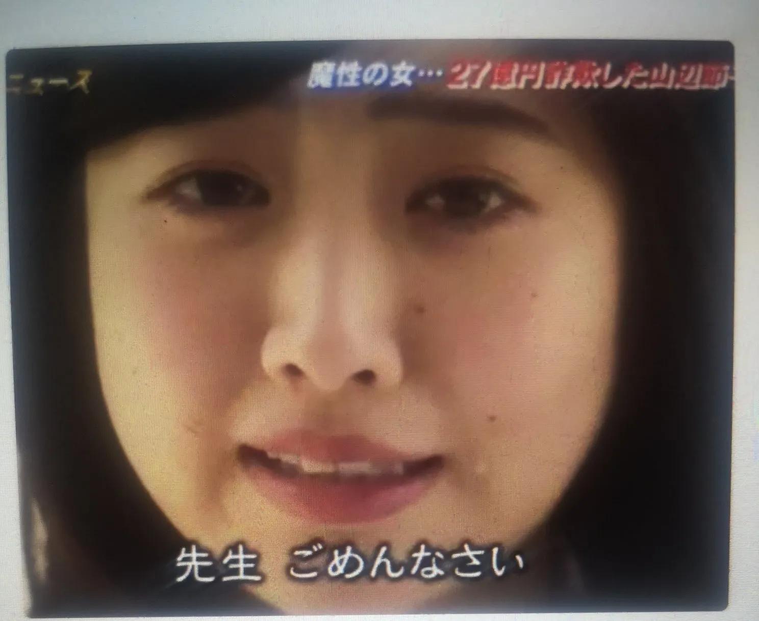 绿茶女诈骗案例,诈骗12亿日本女诈骗犯