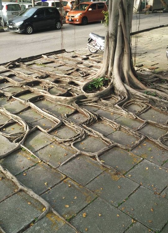 28张罕见的照片看完眼界又开阔了,十张真实罕见的照片惊艳